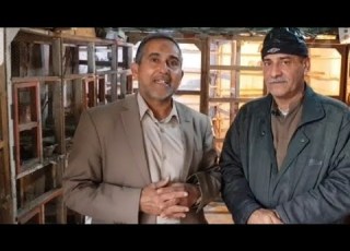  انواع الحمام و الطيور و اسعارها لدى الخبير خالد وحيد الزبيدي ابو وسام من بعقوبة