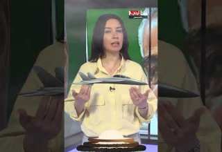 فضيحة تكشف ازدواجية عائلة قاسم سليماني 