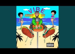  Vibe