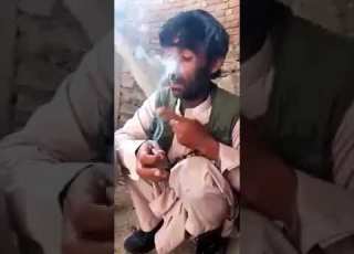  شیر بچه شاعر چرسی