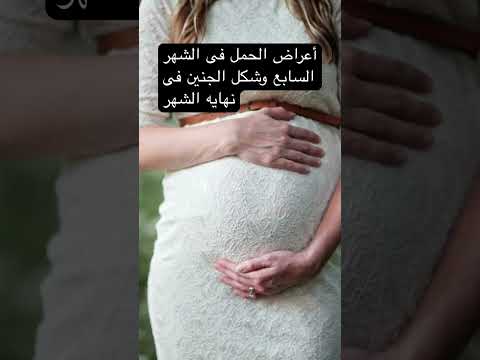 اعراض الحمل فى الشهر السابع وشكل الجنين فى نهايه الشهر جنين حمل حامل ولادة نزيف اعراض الحمل فى الشهر السابع وشكل الجنين فى نهايه الشهر جنين حمل حامل ولادة نزيف