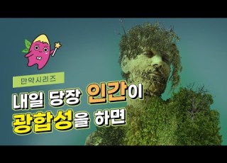  만약 내일 당장 인간이 광합성을 한다면 무슨 일이 일어날까 Feat 효율성
