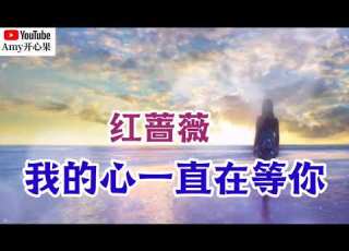  红蔷薇 我的心一直在等你