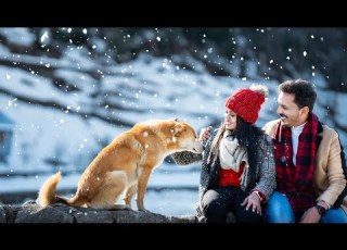 Manali Pre Wedding Song HRUDAYAMA VINAY PRAVEENA KATCH PHOTOGRAPHY 8790024819 9618720084