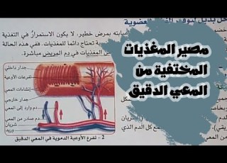 الدرس 04 أحدد مصير الأغذية المهضومة الجزء 02 ص 17 18 علوم طبيعية سنة 04 متوسط الجيل 02 نسخة قديمة