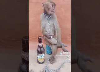 Le Seinge Fume La Cigarette