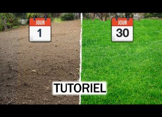Comment Semer Un Gazon TUTORIEL Débutant Les ERREURS à Fuirrr