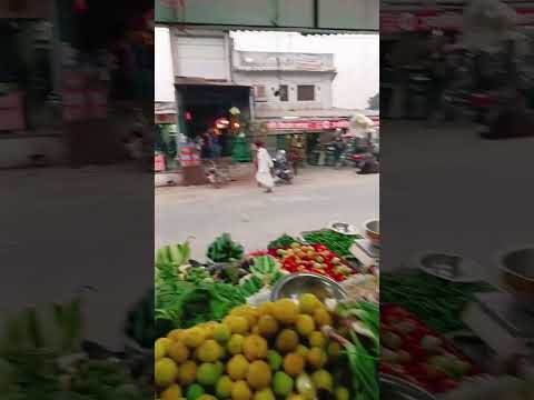 म र ग व ल ब हर स ह Dance Punjabisong Sakram Mali Lamba Hari Singh Tredingvideo