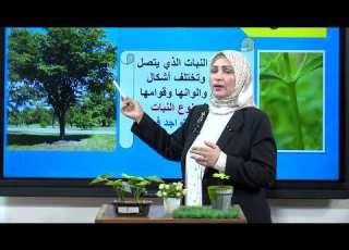 العلوم الرابع الابتدائي الوحدة الاولى النباتات المركبة الجزء الثاني