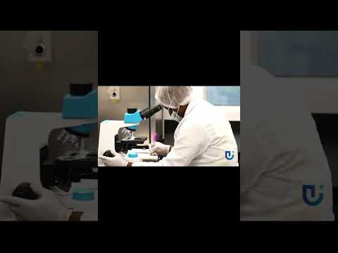 GROUP KADJI ULTIMUM WHY ABIA STATE NIGERIA