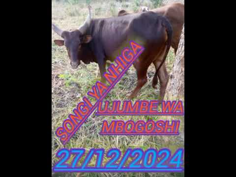 SONGI YA NHIGA UJUMBE WA MBOGOSHI