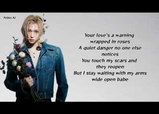 Toxic Till The End Felix Ver What If Toxic Till The End Rosé Was Written For Felix Felix