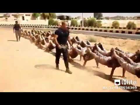 تدريب احمد المنسي لي كبينة103