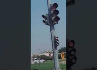  إشارة المرور Shorts
