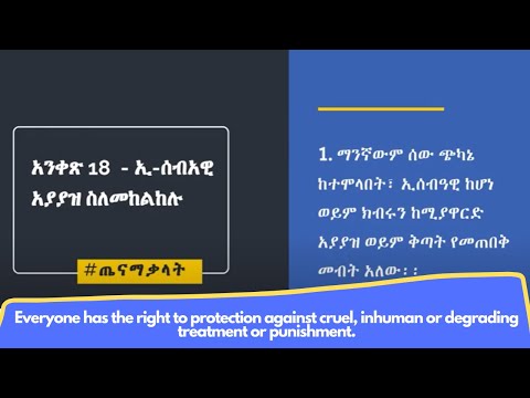 Federal Democratic Republic Of Ethiopia FDRE Constitution