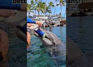  Dolphin That Paints Better Than Humans