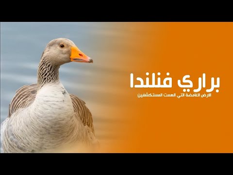 براري فنلندا الارض الغامضة في اقصى الشمال التي الهمت المستكشفين حول العالم كويست عربية بدون موسيقى