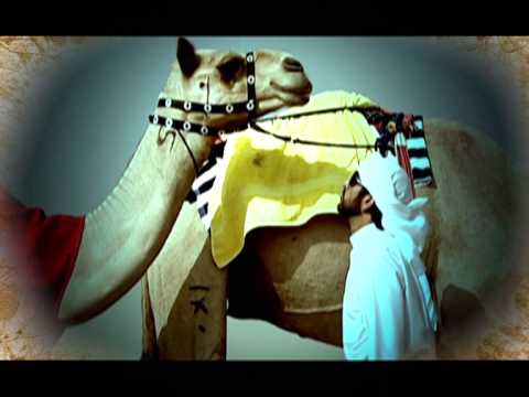 عشق الكرم خالد عبدالرحمن