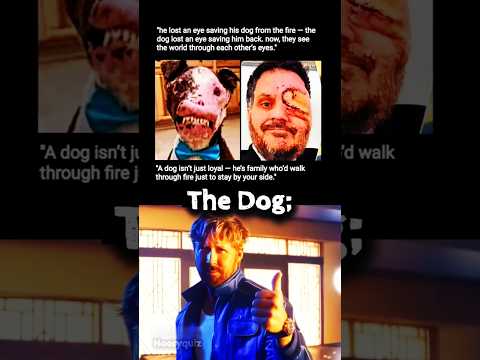 Dog Moment Man S Best Friend Tiktoktrend