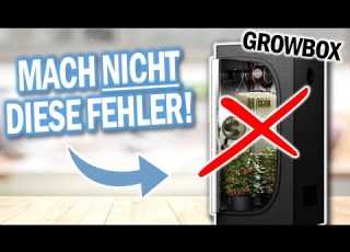  GROWBOXEN Vermeide DIESE 9 Fehler
