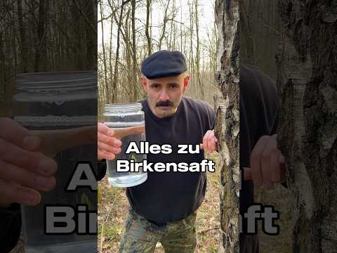 Schon Mal Probiert Birkensaft Survival