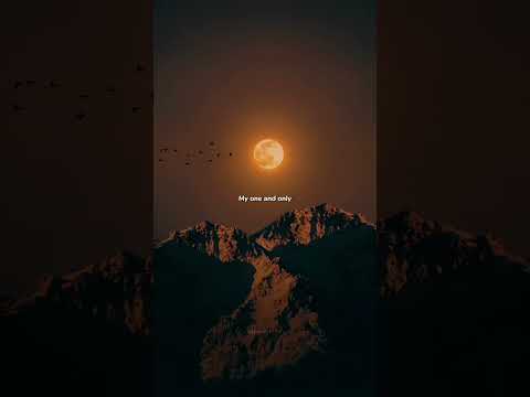 Elyanna Callin U X Tamally Maak Aesthetic Lyrics Shorts Elyanna Callin U X Tamally Maak Aesthetic Lyrics Shorts