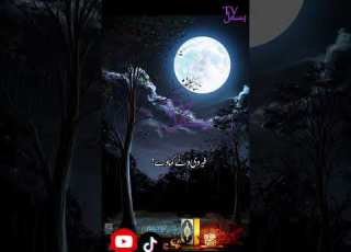  Meetha Mewa Beri Devi 100 100 Watte Khave میٹھا میوہ بیری دیوے