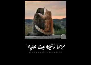حالات واتس ارسم قلب وضحكة علي الشبابيك