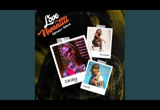 Love Nwantiti Feat Pronto Eunique German Remix