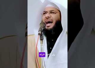  نفرح عندما يتأذى الصهاينة ولو بشي قليل الشيخ محمد الصاوي ابلور Shortvideo