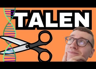  TALENs Transcription Activator Like Effector Nucleases Gene Editing Explained
