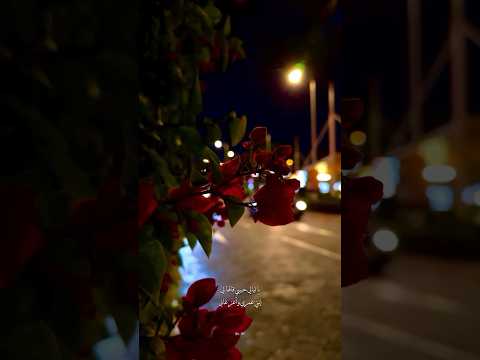 يا ليالي حبيبي قالهالي