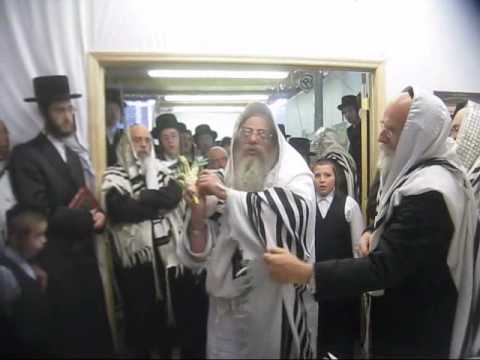 Sanz Klausenberg Rebbe Naanuim And Halel On Hoshana Rabah