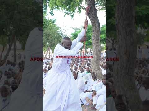 Manda Manda At Bocha Feb Musangano Of Prophets 2026