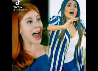 السقوط في المسبح الحب لا يفهم الكلام حب الايجار