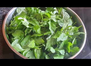 How To Cook Black Jack Leaves Mutsine Black Jack In Peanut Butter Sauce Uqadolo Umhlabangubo