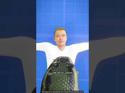 ماذا يحدث لو ابتلعتك أفعى مشهد مرعب لن تصدقه