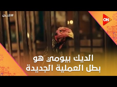 الديك بيومي هو بطل العملية الجديدة شوف النص عمل إيه النص