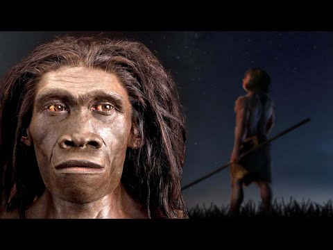 A Brief History Of The Most Successful Human Species Homo Erectus