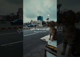 شوف رزقك الدنيا واسعه