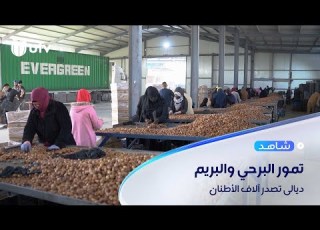  ديالى ت آلاف الأطنان من تمور البرحي والبريم إلى المغرب وآسيا