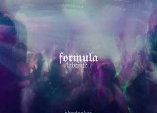  Labrinth Formula Euphoria Slowed Reverb