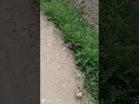 A Walk Around Machakos IEBC Road MercyNguku The World Traveller Worshipsongrewritten