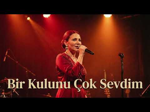 Zeynep Bir Kulunu Çok Sevdim İbrahim Tatlıses Cover Zeynep Bir Kulunu Çok Sevdim İbrahim Tatlıses Cover