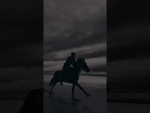 اسمع وأرح قلبك بالقرآن بصوت القارئ سعيد دباح اسمع وأرح قلبك بالقرآن بصوت القارئ سعيد دباح