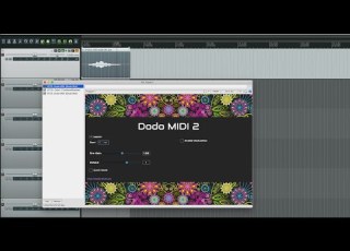 Dodo MIDI 2 Reaper Quick Start