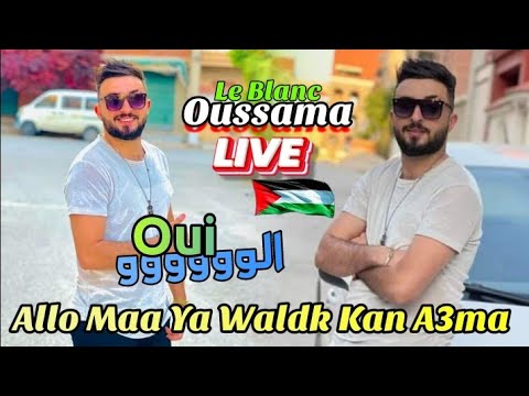 Oussama Le Blanc 2023 Allo Maa Ya Waldk Kan A3ma الو ما ولدك كان عما Avec Tipo Live Mariage
