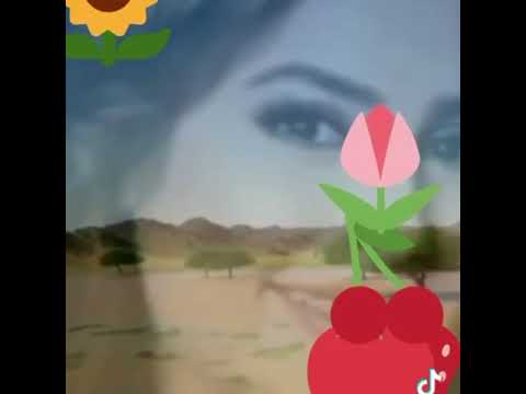 عيسئ الحسائي والانتضر لمعروفي والاكن قدر اضروفي