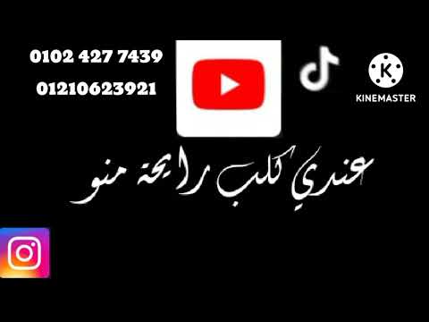 عندي كلب رايحة منو حاله واتس جديد لسة منزلش مهرجانات 2022 تصميم تيم الاسكندراوية