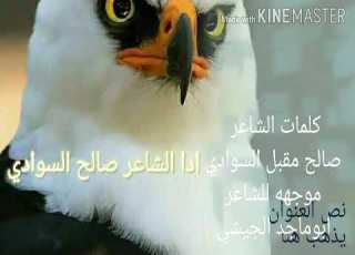 ياجيشي اتمشقر شذابه ولزاب قصيده للشاعر صالح مقبل قاسم السوادي موجهه للشاعر ابو ماجد الجيشي